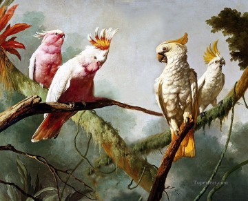 木の鳥の古典的なオウム Oil Paintings